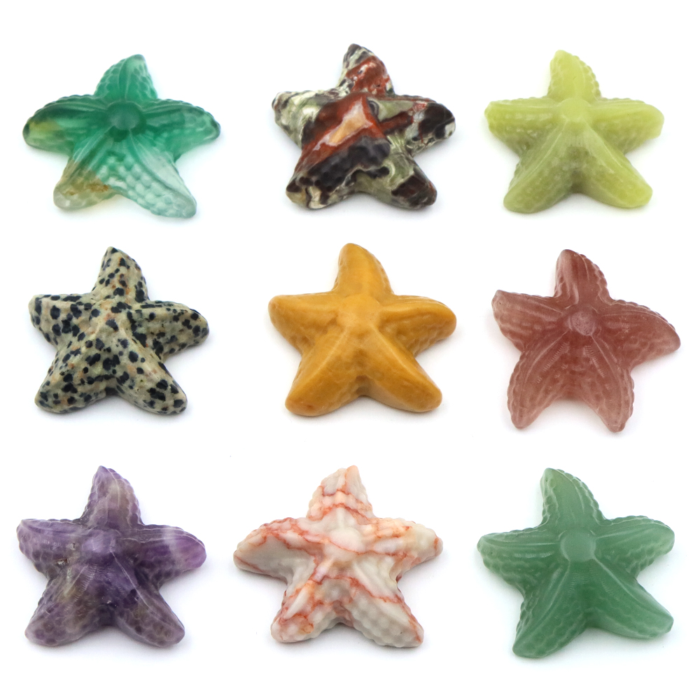 Marine Aquarium & Regional Centre Reviews - 35mm Seestern Form Statue Marine Tier