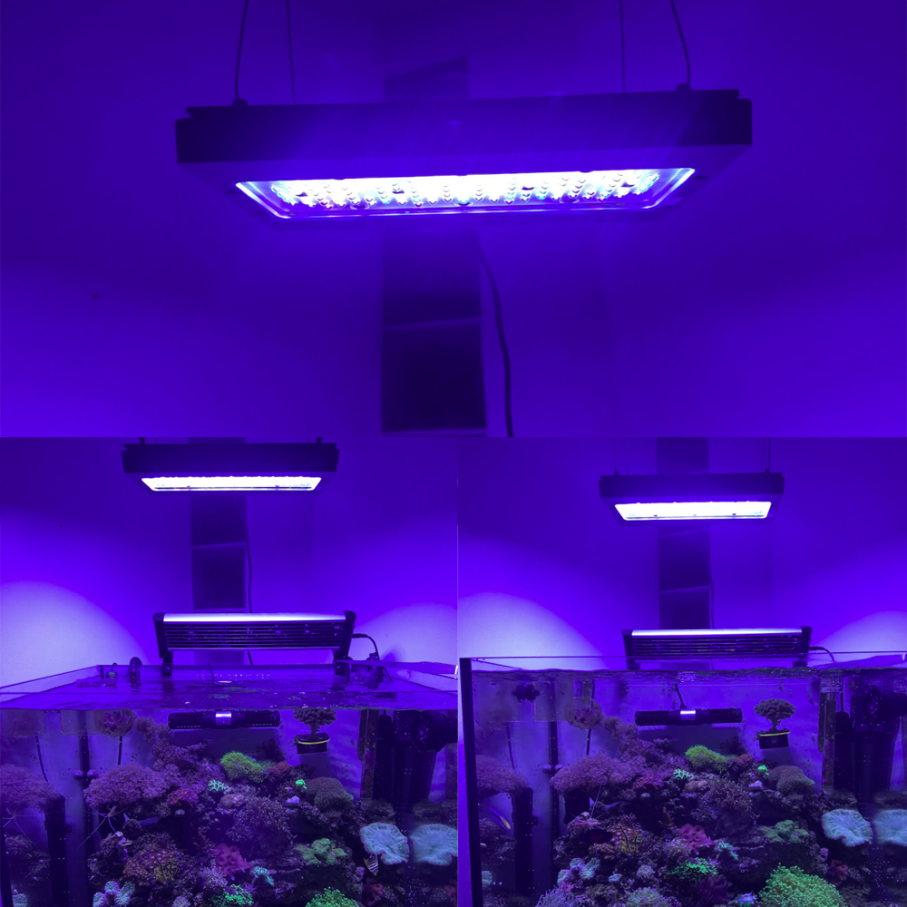 A8se Pro III MAX Blau 240W Mar – Aquarium Blue Marine Bewertung und Preis