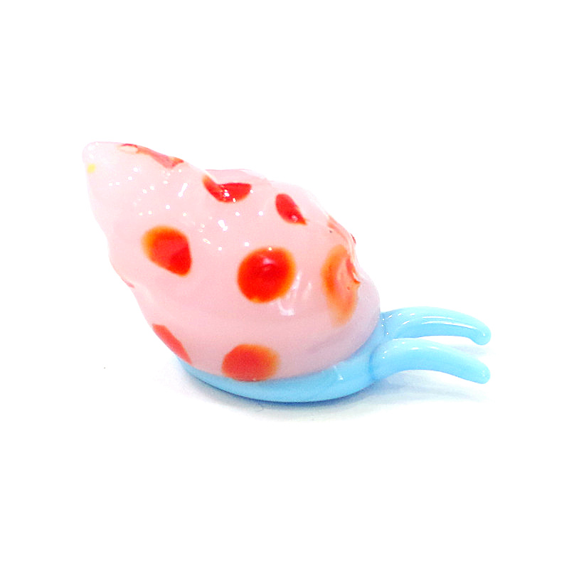 Niedliche murano Glas meeres t – Marine Aquarium & Regional Centre Reviews Bewertung und Preis