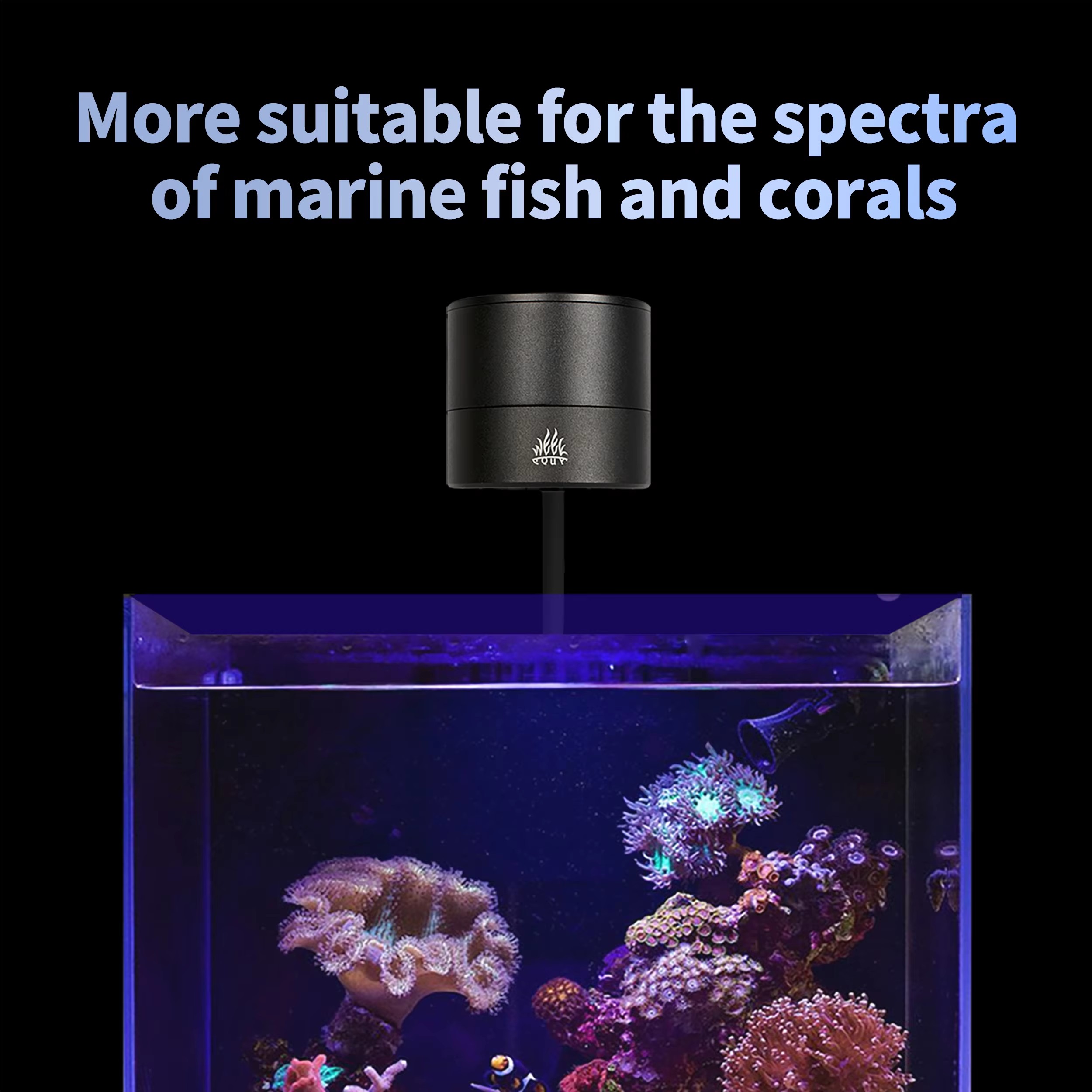 WEEK AQUA Aquariumbeleuchtung  – Aquarium Blue Marine Bewertung und Preis
