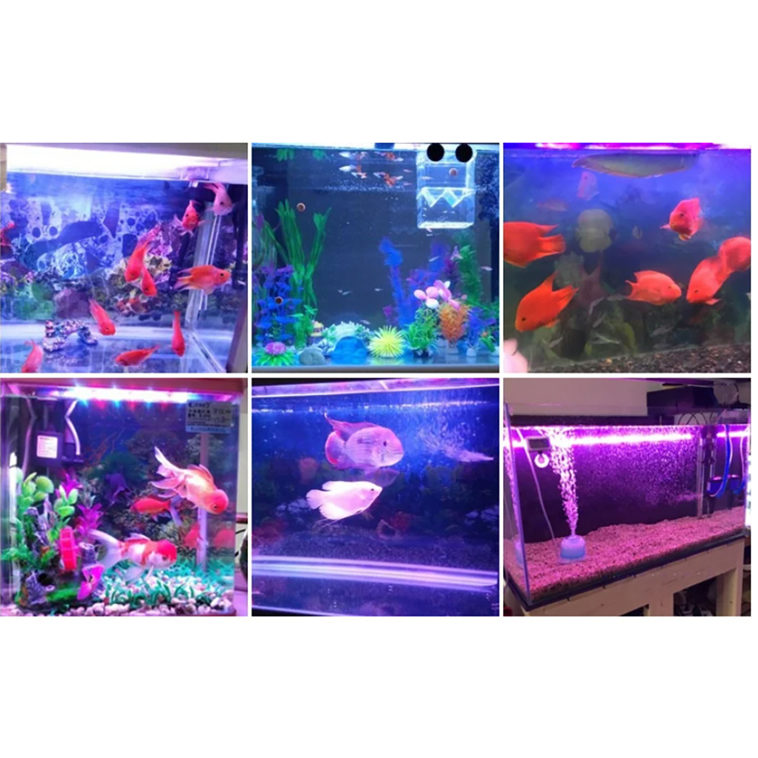 50W 60W 70W 100W RGB 26-28V Ho – Aquarium Blue Marine Bewertung und Preis