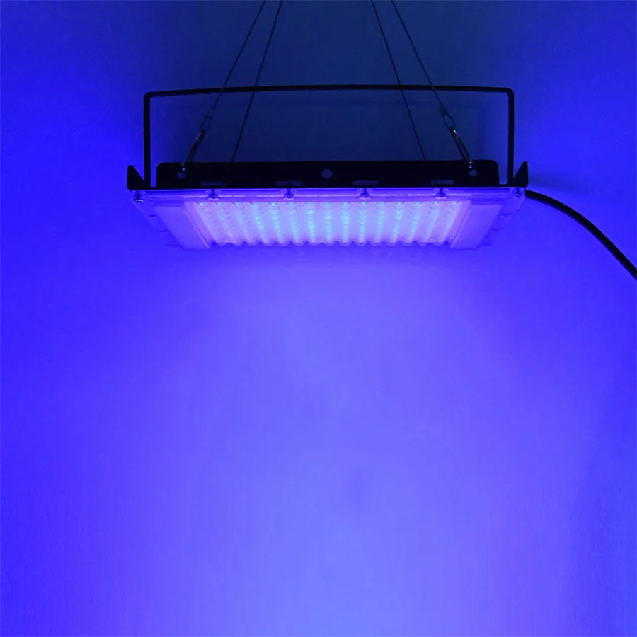 300W UV 395nm Schwarzlicht Ult – Marine Aquarium Uv Bewertung und Preis