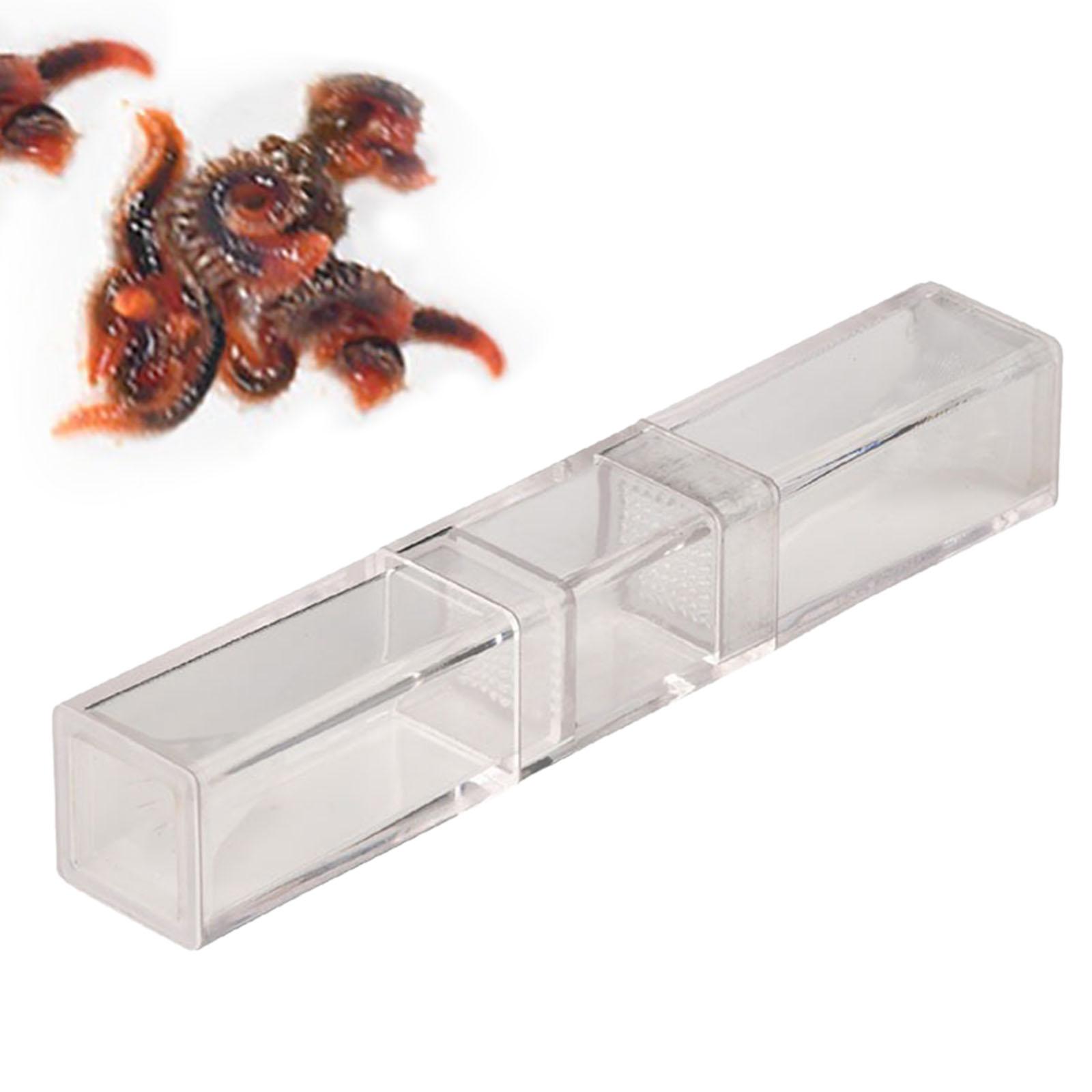 Aquarium Planaria Catcher für  – Marine Aquarium Worms Bewertung und Preis