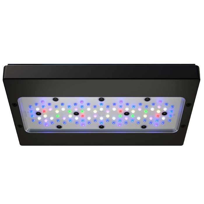 A8 PRO III Max und Blue 245W V – Aquarium Blue Marine Bewertung und Preis